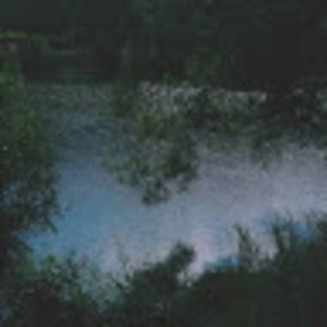 Meet your Posher, Shreya